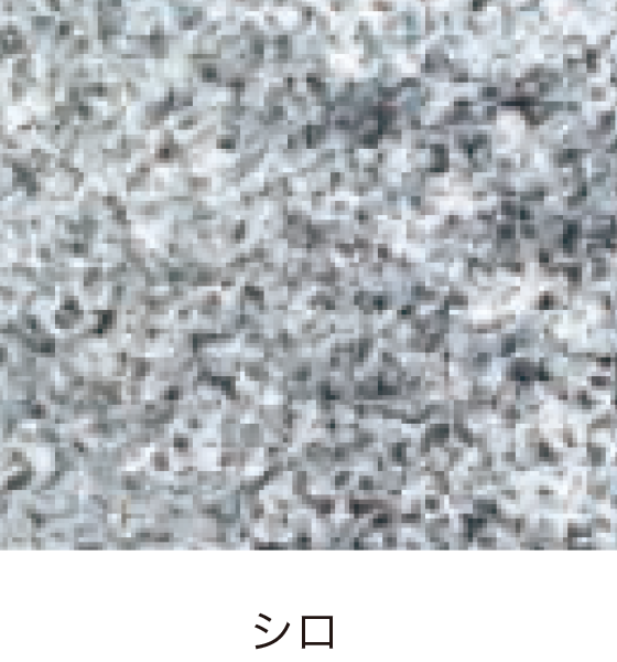 ピンコロ イメージ写真02