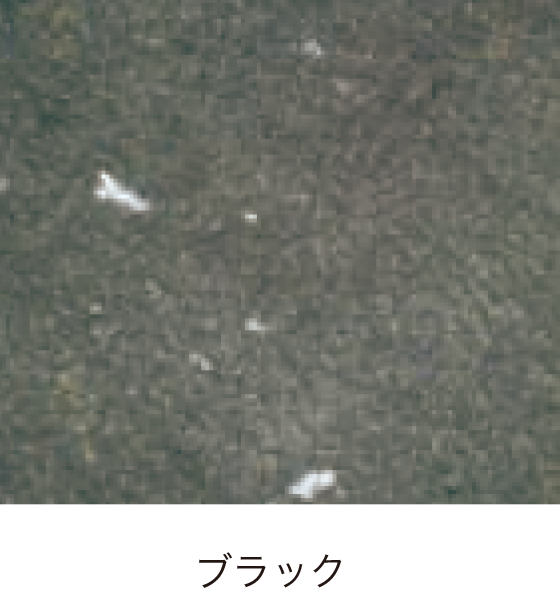 ピンコロ イメージ写真05