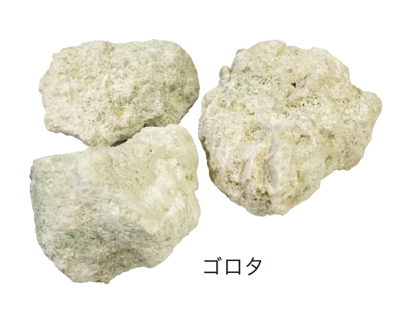 琉球石灰岩 イメージ写真02