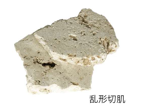 琉球石灰岩 イメージ写真04